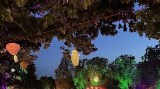 Traumhaftes Ambiente: Ein Abstecher zum Festival Vogel der Nacht im Bensheimer Stadtpark lohnt sich auch aus optischen Gründen.