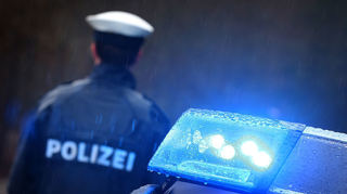 Nachdem ein Fahrer einem Reh ausweichen wollte kam es zum Unfall.