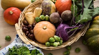 Im Herbst können zahlreiche Gemüsesorten wie Rosenkohl, Steckrüben oder Kohlrabi geerntet werden.