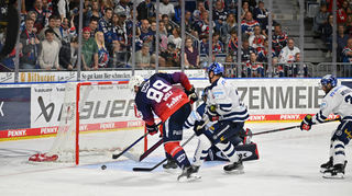 David Wolf Adler Mannheim #89 trifft zum 1:1 Jubel 

Adler Mannheim vs Iserlohn Roosters 22.09.2023 DEL

Foto: Daniel Bamberger