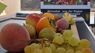 Woher kommt das Obst? Auch dazu gab es Antworten beim Klimaforum des Kreises Bergstraße.