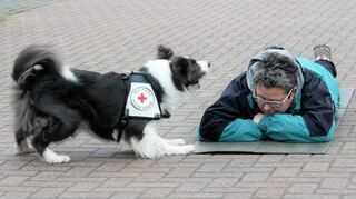 Bei den Hundefreunden wird es beim Tag der offenen Tür auch Vorführungen der Rettungshunde-Staffel Bensheim geben.