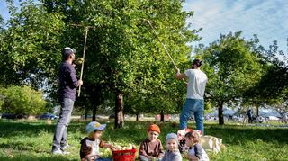 Beim Apfelerntefest auf der städtischen Streuobstwiese bei Auerbach hatten große und kleine Besucher jede Menge Spaß.