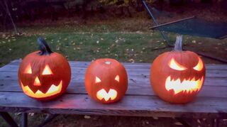 Je gruseliger, desto besser: Selbst geschnitzte Kürbisse gehören für viele Menschen einfach zur dunklen Jahreszeit und Halloween dazu. Mit Kerzen im Inneren leuchten sie im Dunkeln und eignen sich sehr gut als Deko vor der Haustür.