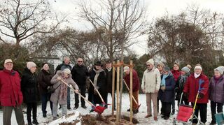 Im Gartenschaupark in Höhe des Forstpavillons pflanzt der Odenwaldklub im Dezember 2022 eine Winterlinde zum 100-jährigen Bestehen des Vereins: Richard Sauter (v.l.), Brigitte Weißbrodt, Annette Kammer, Gerda Koch (mit Schaufel), Matthias Degen, Bürgermeister-Stellvertreter Fritz Rösch, Christa Greif, Josef Brauchle, Heinz Greif, Werner Weißbrodt, Gisela Neuschäfer, Karin Krämer, Elisabeth Klee, Hortensia Santos-Gonzales, Edelgard Sauter und Maria Kunert.