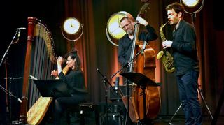 In „dasHaus“ in Ludwigshafen spielt Harfinistin Kathrin Pechlof (v. l.) gemeinsam mit Robert Landfermann am Kontrabass und dem Saxofonisten Christian Weidner das Preisträgerkonzert.
