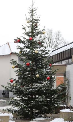 BLI_Weihnachtsbaum