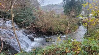 Wo sind die kritischen Punkte eines Starkregen-Szenarios in Heppenheim und in den Stadtteilen, wenn Bäche wie hier der Stadtbach in der Vorstadt der Wassermassen nicht mehr Herr werden? Mit dieser Frage beschäftigten sich Experten, erste Ergebnisse liegen nun vor.