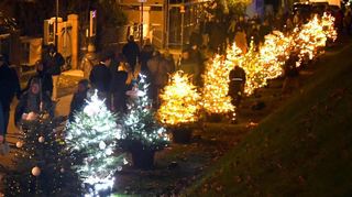 Eine Christbaum-Allee schmückte die Nibelungenstraße bis hinunter zum Lorscher Weihnachtsmarkt, der zum dritten Mal auf dem Karolingerplatz gefeiert wurde.