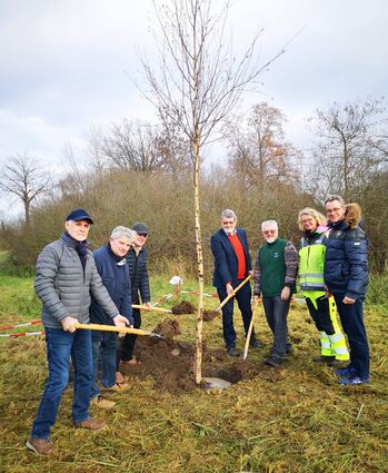 Mit Hilfe von Magistratsmitgliedern und der Schutzgemeinschaft Deutscher Wald wurde die Birke gepflanzt.