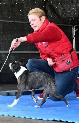 Anneke Freudenberger zeigte mit Boston Terrier Lena Kunststücke des Dogdance.