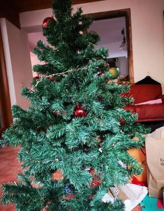 Alte Weihnachtsbäume werden gegen eine Spende abgeholt.