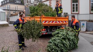 Die Bensheimer Jugendfeuerwehren sammeln in diesem Jahr wieder die ausgedienten Weihnachtsbäume ein – Termin ist diesmal am 13. Januar. Unser Foto entstand bei der Sammlung im vergangenen Jahr.