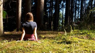 Seelische Erholung im Grünen – darum geht es beim Waldbaden, das in diesem Jahr zweimal vom Odenwaldklub Bensheim angeboten wird.