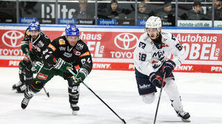 Thomas Joradan TREVELYAN (AEV #24) im Duell mit Fabrizio PILU (MERC #68) / Zweikampf beim Spiel in der Penny DEL, Augsburger Panther (dunkel) - Adler Mannheim (hell). Foto © PIX-Sportfotos *** Foto ist honorarpflichtig! *** Auf Anfrage in hoeherer Qualitaet/Aufloesung. Belegexemplar erbeten. Veroeffentlichung ausschliesslich fuer journalistisch-publizistische Zwecke. For editorial use only.