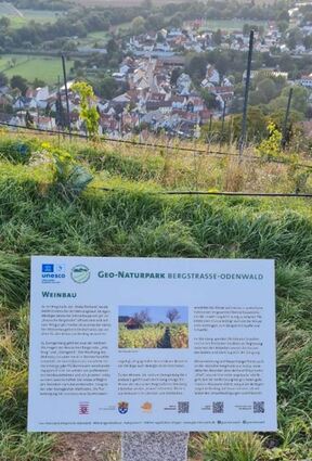 Im Jahr 2023 wurden verschiedene Cittaslow-Projekte geplant und teilweise bereits umgesetzt – beispielsweise der naturkundliche Lehrpfad (Bild li.), das Weingartenhaus (oben, re.) oder das Vorhaben „Kunst im Weinberg“ (unten, re.).