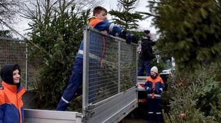 Mit Schwung wirft ein Mitglied der Jugendfeuerwehr Einhausen einen der gesammelten Weihnachtsbäume auf den großen Haufen beim ZAKB.
