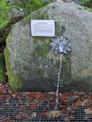 Die Lauter-Quelle am Hexenstein führt inzwischen nur noch selten Wasser.