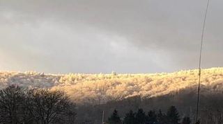 Nach dem Schneefall in der Nacht zum Montag bot sich für den Betrachter von der Ortsmitte in Reichenbach aus ein prächtiges winterliches Panorama rund um den Felsberg und am unteren Ende des Felsenmeerparkplatzes. Wenn sich auch die Sonne blicken lässt, dürfte ein ähnliches Naturschauspiel auch in den kommenden Tagen bei angekündigten weiteren Schneefällen und frostigen Temperaturen zu beobachten sein.