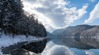 Kraft der Natur: Am Alpsee können Wanderer Ruhe in der winterlichen Natur finden.