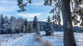 Winterlich: Im Schneekleid zeigt die Thüringer Natur rund um den Rennsteig ihre eigentliche Ursprünglichkeit.
