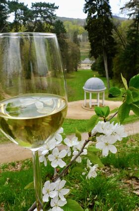 Der Frühling kommt bald – und mit ihm der Bergsträßer Weinfrühling. Vom 20. April bis 31. Mai 2024 laden Weinbaubetriebe und Weinexpertinnen zu Events an die Hessische Bergstraße ein. Bild: Veranstalter