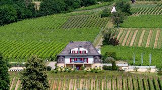 Von der Vinothek im Rebmuttergarten führt der Weg zur Centgerichtsstätte auf dem Landberg, wo am Samstag Jubiläum gefeiert wird.