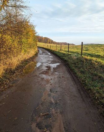 Durch die schweren Traktoren werden in der Hutzelstraße zwischen Staffel und Ober-Beerbach die Ränder des Asphalts abgefahren. Um den Wanderweg entsprechend zu ertüchtigen, müsste er eigentlich verbreitert werden. Doch die vom Finanzausschuss bewilligten 50 000 Euro genügen dafür nicht.