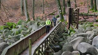 Mit Kettensäge und Kran rückten Mitarbeiter einer Abrissfirma der Brücke über das Felsenmeer im Februar 2023 zu Leibe. In Stücke zerteilt holte sie der große Kran an das „Ufer“ des Felsenmeeres, um weiter zerkleinert und abtransportiert zu werden. Das 36 Meter lange Bauwerk wurde 2006 errichtet.