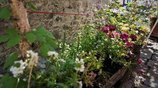 Gartenbesitzer können auch 2024 ihre grünen Refugien öffnen.