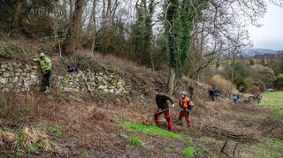 In Schönberg wurde am Samstag eine alte Trockenmauer von Brombeerranken, Efeu und anderem Gehölz befreit. Der Landschaftspflegeverband Bergstraße hatte zu der Aktion aufgerufen – und viele Freiwillige halfen mit.