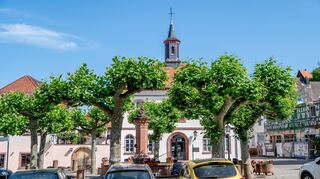 Die kommunale Bibliothek und die Spielerei Bergstraße sind im Alten Rathaus am Marktplatz untergebracht und sollen nach den Plänen des Magistrats mit Outdoor-Aktionen zur Belebung des historischen Zentrums beitragen. Die Parkfläche soll durch einen „Aktionsraum“ ersetzt werden.