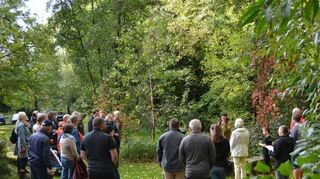 Der Rosengrund in Schönberg soll umgestaltet werden.