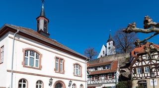 Im vergangenen Jahr hat die Stadt Zwingenberg 71 geflüchtete Menschen aufgenommen.