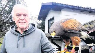 Peter Becker mit seinem Wüstenbussard im Fürther Ortsteil Seidenbach.