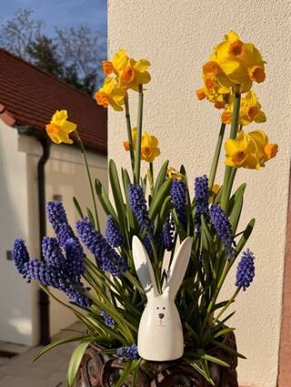 Schöne Dekoration zu Ostern.