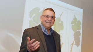 Für Professor Michael Matheus hat Zwingenberg das typische Erscheinungsbild einer historischen Weinstadt.