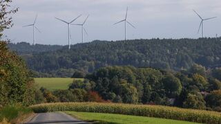 Im Kreis Bergstraße drehen sich verhältnismäßig wenige Windräder (wie hier am Kahlberg bei Hammelbach). Eine neue Untersuchung soll nun mögliche (neue) Standorte im Heppenheimer Stadtgebiet benennen.
