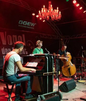 Für das beliebte Stadtpark-Festival Vogel der Nacht in Bensheim engagiert sich der Förderverein.