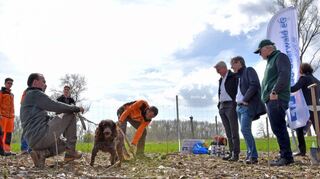 Die Volks- und Raiffeisenbank Ried-Überwald hat der Stadt Heppenheim 1500 Setzlinge gespendet, die in Außerhalb zwischen Heppenheim und Hüttenfeld gesetzt wurden.