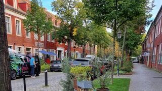 Malerisch präsentieren sich die Stadtviertel, wie das Holländische Viertel.