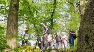 Pia Keßler-Schüll war mit der Wandergruppe im Wald unterwegs. Das Bild zeigt die Gruppe am Teufelsstein.