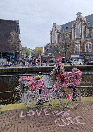 Bei einem Spaziergang entlang der Grachten, der typischen Kanäle, lässt sich die Vielfalt Amsterdams besonders gut entdecken.