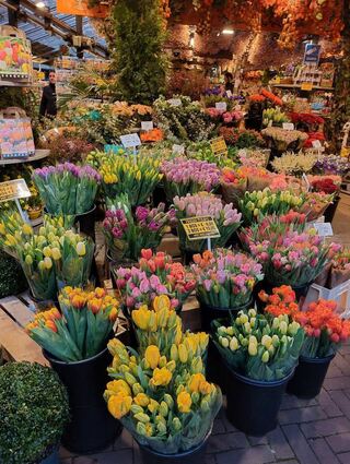 Viele bunte Blumen kann man in Amsterdam bewundern.