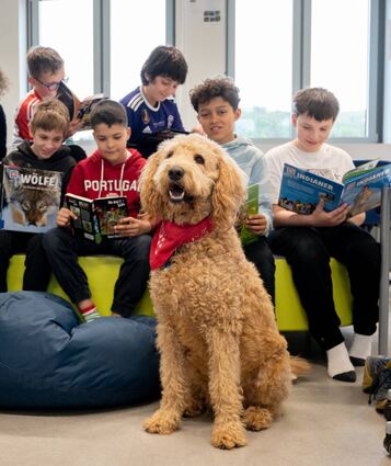 Schulhund-Projekt an der Felsenmeerschule Reichenbach, Sam der Hund von Christa Flasche, ,, Bild: Thomas Neu