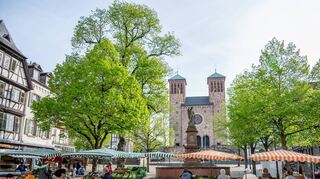 Ein Baustein für die Belebung der Innenstadt – hier der Wochenmarkt auf dem Bensheimer Marktplatz – soll laut Vortrag von Philipp Beck eine unverkennbare Note sein, die Besucher mit allen Sinnen entdecken möchten.