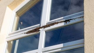 Am Holzrahmen des Fensters ist deutlich die morsche Stelle zu sehen.