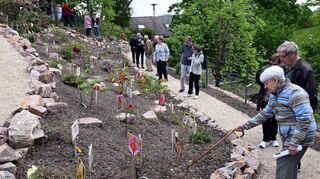 Im Päoniengarten blühen viele Pflanzen bereits opulent. Am Westhang, gestern eröffnet (Bild), braucht es noch etwas Geduld bis die Neupflanzungen nachziehen.