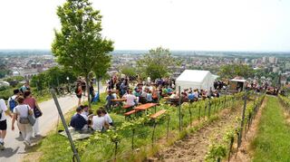 An insgesamt sechs Ständen entlang der Wanderstrecke wurden Weiß-, Rosé- und Rotwein aus 14 Einzellagen sowie Secco und Sekt angeboten.