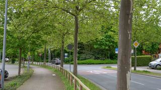 bre, Mittwochsserie, Bergsträßer Ansichtssachen, Platanenallee,90er Jahre,, Bild: Thomas Neu